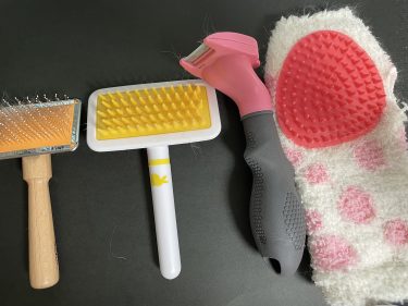 うさぎの抜け毛大変なんです…抜け毛のケア